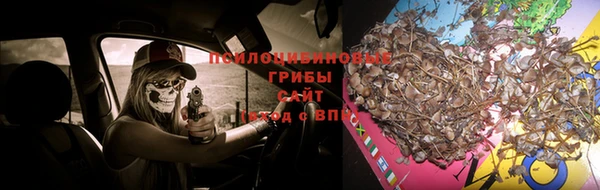 jwh Богданович