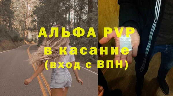 твердый Аркадак