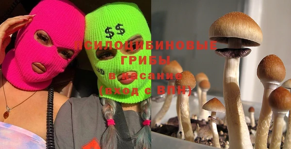 jwh Богданович