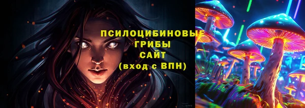экстази Богородск
