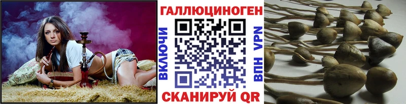 что такое   ссылка на мегу   Псилоцибиновые грибы MAGIC MUSHROOMS  Унеча 