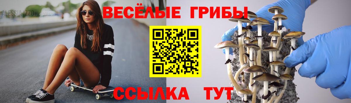 Унеча  Галлюциногенные грибы мухоморы  Вход с VPN 